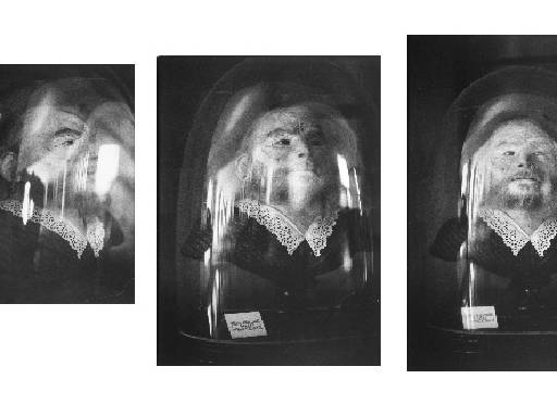 Zoe Leonard, <i>Preserved Head of a Bearded Woman (Musée Orfila)</i>, 1991 