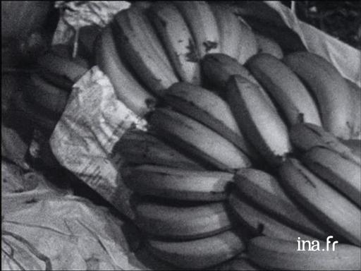 Nantes redevient port bananier