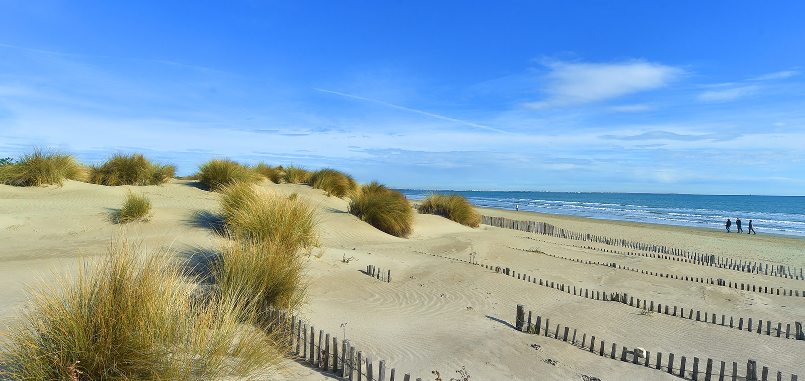 Photo  Ganivelles sur les plages de Carnon 