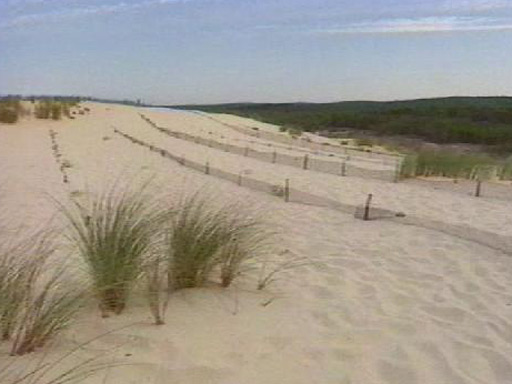 Le bornage des dunes sur le littoral aquitain