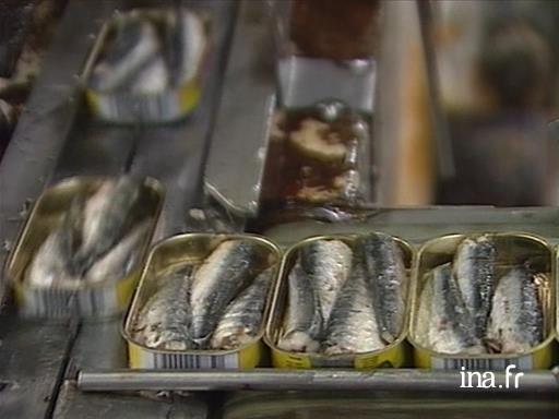 La sardine à Saint-Gilles-Croix-de-Vie