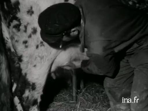 Al laezh e Breizh [La production et la transformation du lait]