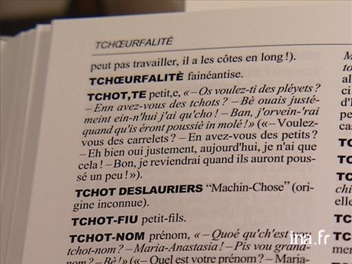  Un dictionnaire franco-picard de Marie-Madeleine Duquef 